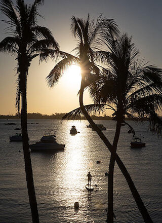 The image shows palm trees silhouetted against a setting sun over calm waters, with boats anchored in the distance.