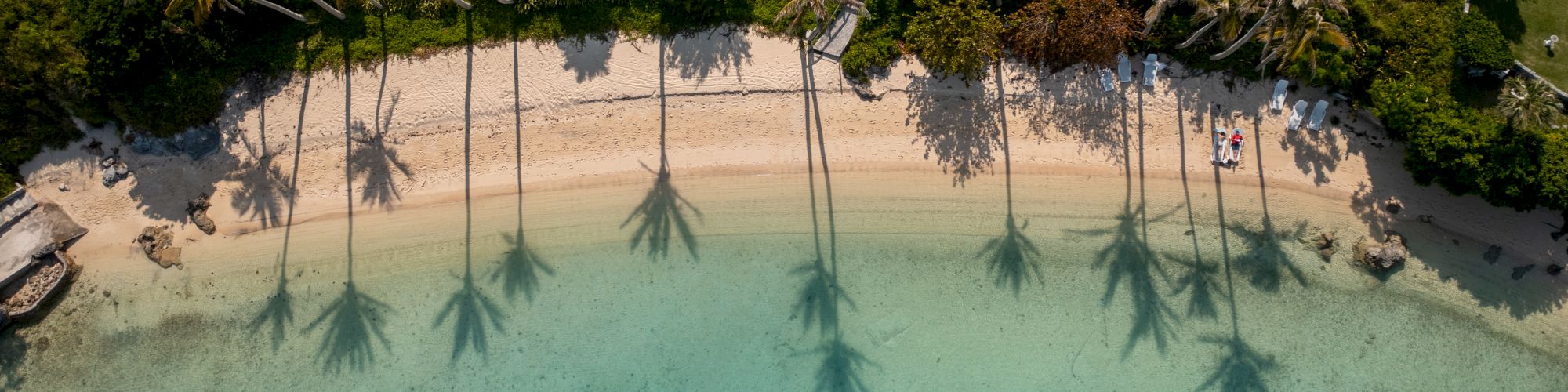 An aerial view of a serene beach with clear blue water, lined with palm trees casting long shadows, and houses nestled behind the trees.