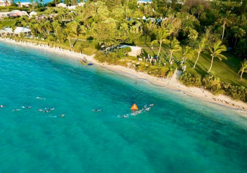 An aerial view of a beach with people swimming near the shore, surrounded by lush greenery and palm trees, and several buildings in the background.