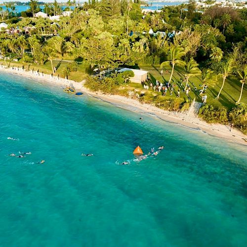 An aerial view of a beach with people swimming near the shore, surrounded by lush greenery and palm trees, and several buildings in the background.