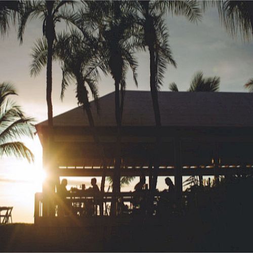 A beachside pavilion at sunset with people silhouetted inside, surrounded by palm trees and bathed in the warm glow of the setting sun.