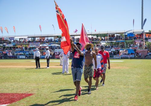 People walk on a grass field holding flags, with spectators in the background at a sporting event.