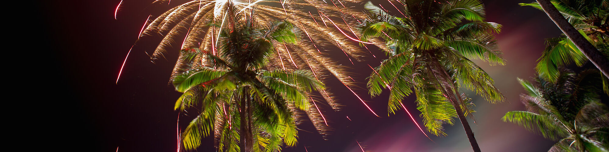 The image shows vibrant fireworks bursting in the sky above palm trees at night, creating a festive atmosphere against the dark backdrop.