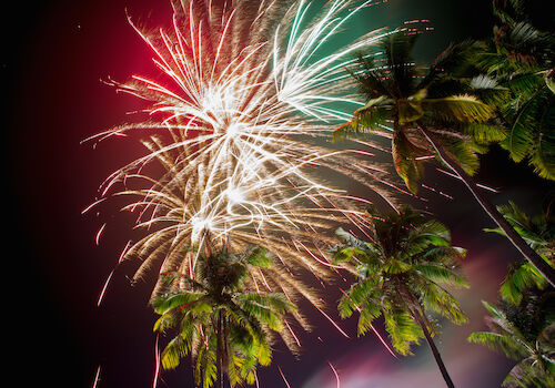 The image captures a colorful fireworks display lighting up the night sky, with tall palm trees in the foreground.