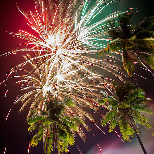 The image captures a colorful fireworks display lighting up the night sky, with tall palm trees in the foreground.