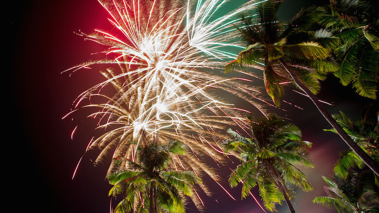 Fireworks explode brightly in the night sky, with palm trees silhouetted against the colorful display, creating a festive atmosphere.