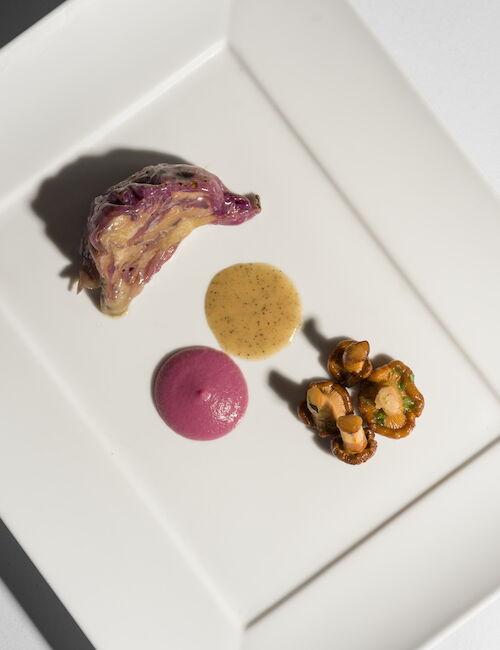 The image shows a gourmet dish with meat, a pink puree, sauce, and mushrooms, artfully presented on a square white plate.