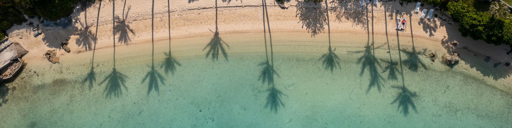 An aerial view of a beach with turquoise water, palm tree shadows, and pink houses near the shoreline ending the scene.