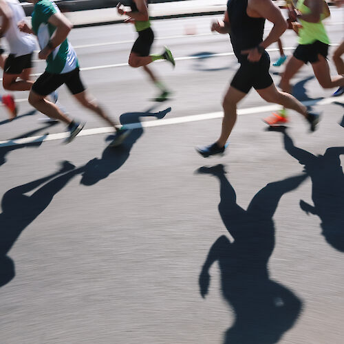 Runners are participating in a race, casting long shadows on the pavement as they move forward in the bright sunlight.