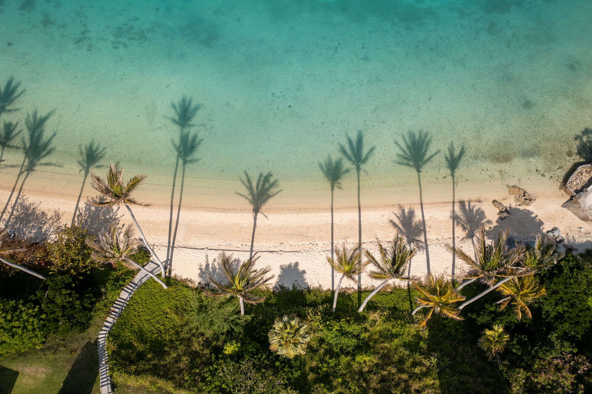 Aerial view of a beach with turquoise water, white sand, and shadows of palm trees stretching across the shoreline.